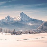 default-avatar-2020-26