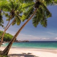 default-avatar-2020-39