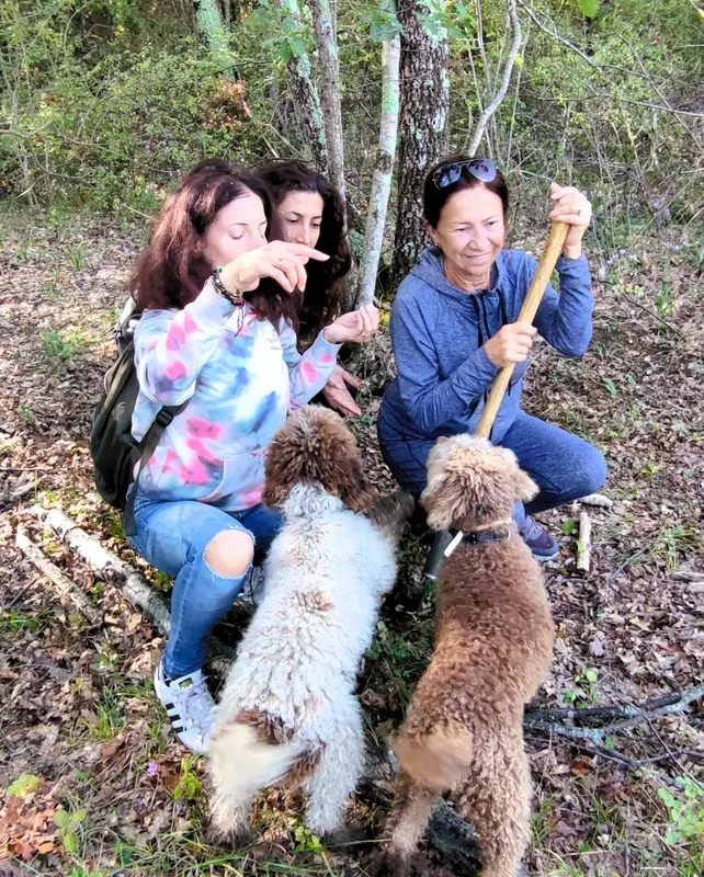 Truffle hunting experience in Italy: Three women and two Lagotto Romagnolo dogs searching for truffles in a wooded area. Ideal for promoting truffle hunting tours and culinary adventures in Italy.